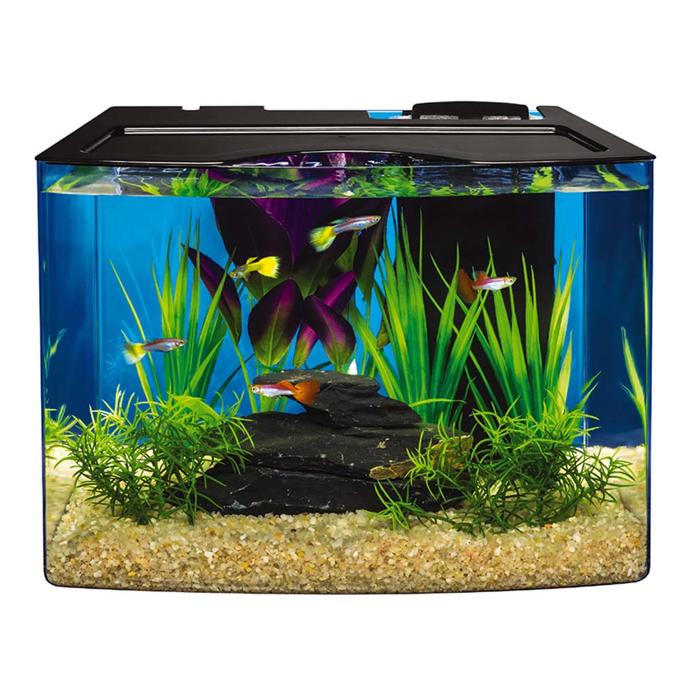 3 gallon tank shop